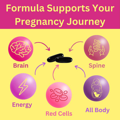 Greenfield Nutritions Vitaminas Prenatales – Las vitaminas B6 y B12 pueden contribuir al funcionamiento normal del – Image 3