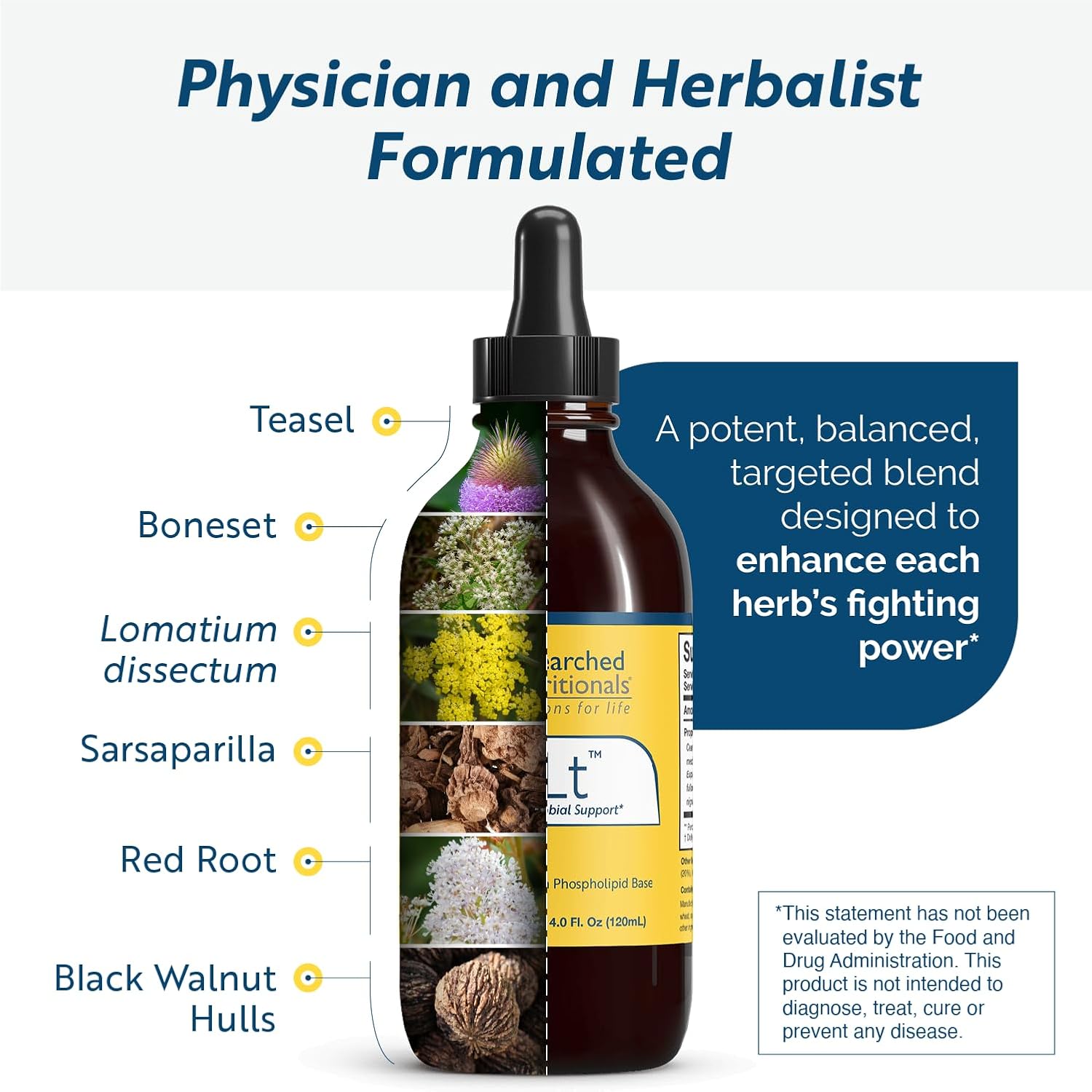 Researched Nutritionals BLT - Apoyo Microbiano Avanzado - Tintura de Nuez Negra, Boneset, Zarzaparrilla y Lomatium - Complejo de Fosfolípidos para Máxima Absorción (118 ml)