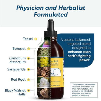 Researched Nutritionals BLT - Apoyo – Lomatium ( Lomatium dissectum ): Utilizado históricamente por diversas – Image 4