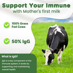 Bovine Colostrum Supplement Powder 50% IgG Premium Bovine Colostrum for Gut Health Support, Immune Support, Muscle Recovery & Overall Wellness, Grass Fed, Non-GMO, Unflavored, 60 Servings