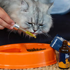 Complejo B para Gatos, Apoya el Metabolismo y Aumenta los Niveles de Energía, 1.7 fl oz (Paquete de 6)