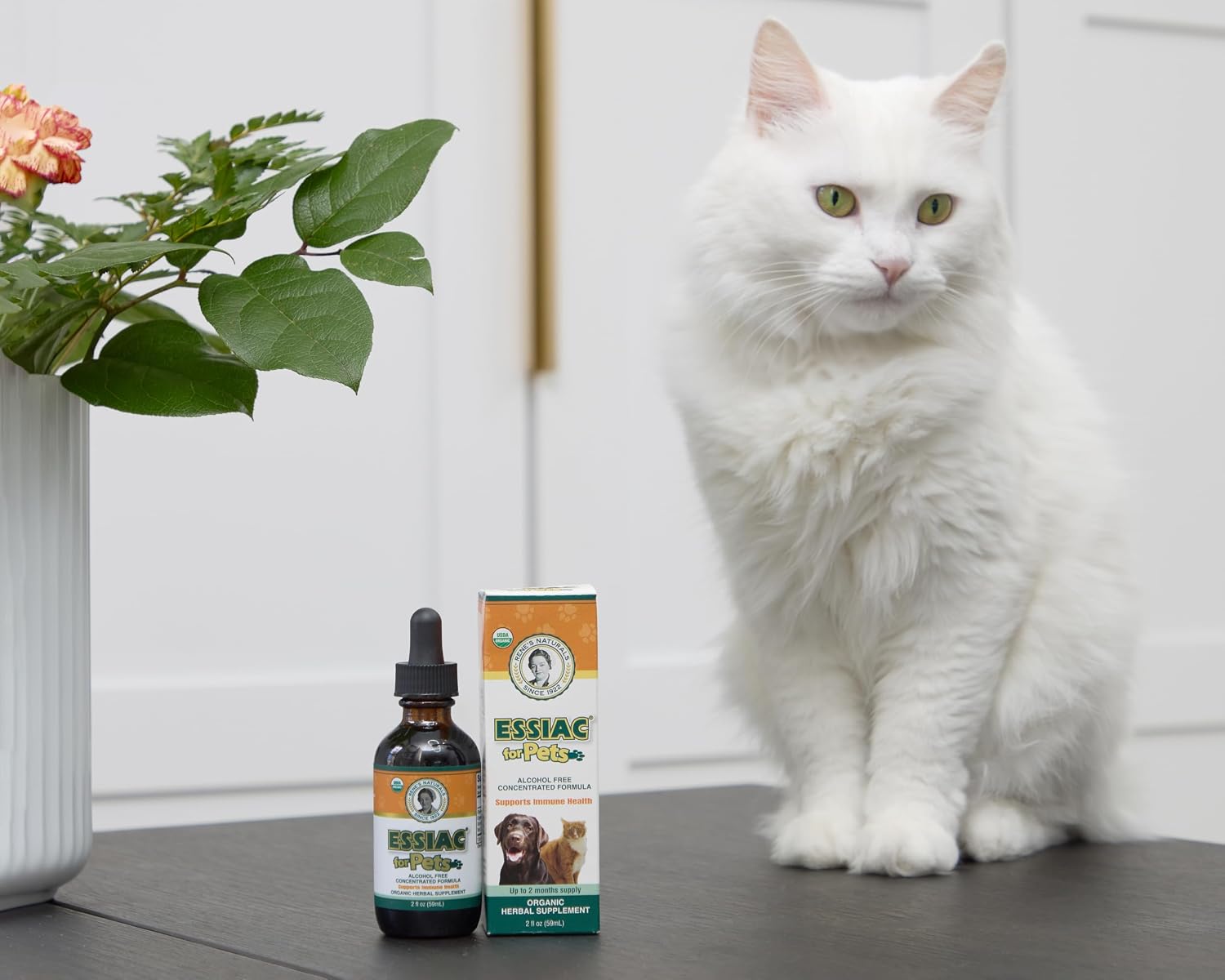 Essiac para Mascotas - Gotas Orgánicas USDA - 59ml