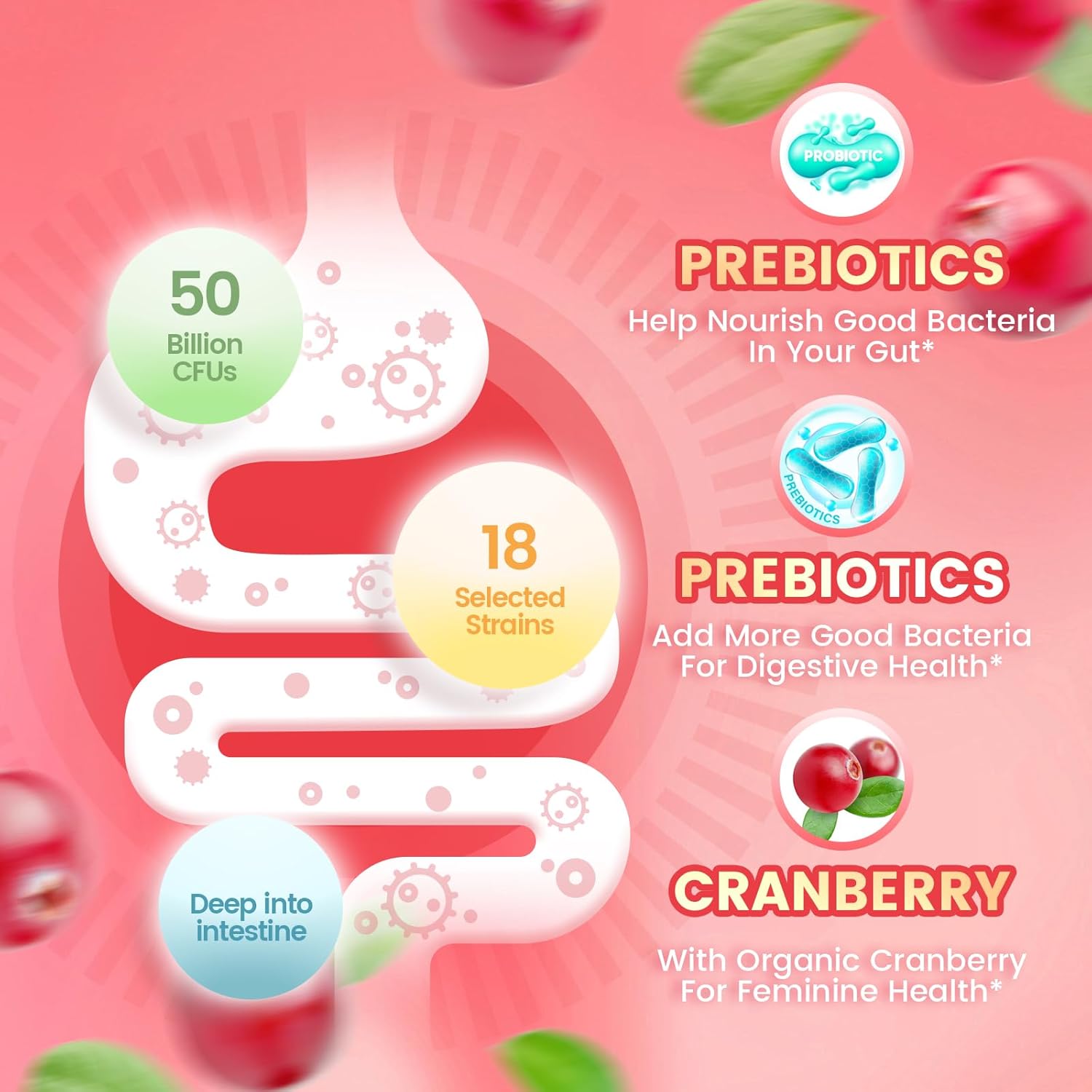 VivoNu Probióticos Femeninos en Gominolas - Equilibrio Vaginal y Digestivo - 60 Gominolas de Arándano Rojo