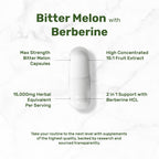 DEAL SUPPLEMENT Melón Amargo con Berberina, 300 Cápsulas - Extracto 15:1 y Berberina HCL, No Transgénico