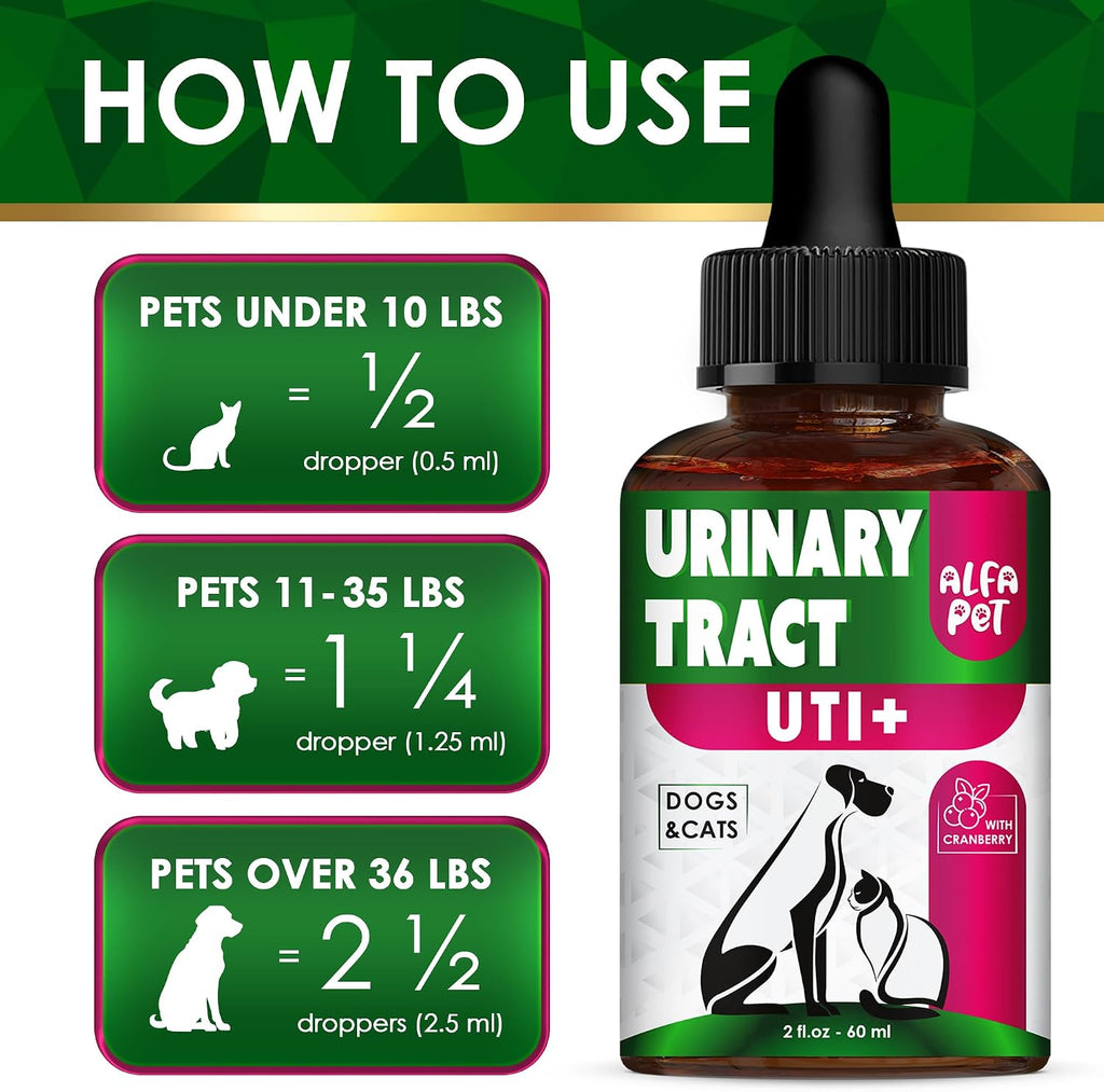 Complemento Urinario con Arándano para Perros y Gatos - Gotas para el Apoyo Renal y Vesical - 60 ml