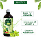 Dabur Amla Juice - 1 Litro - Rico en Vitamina C - 100% Jugo Ayurvédico