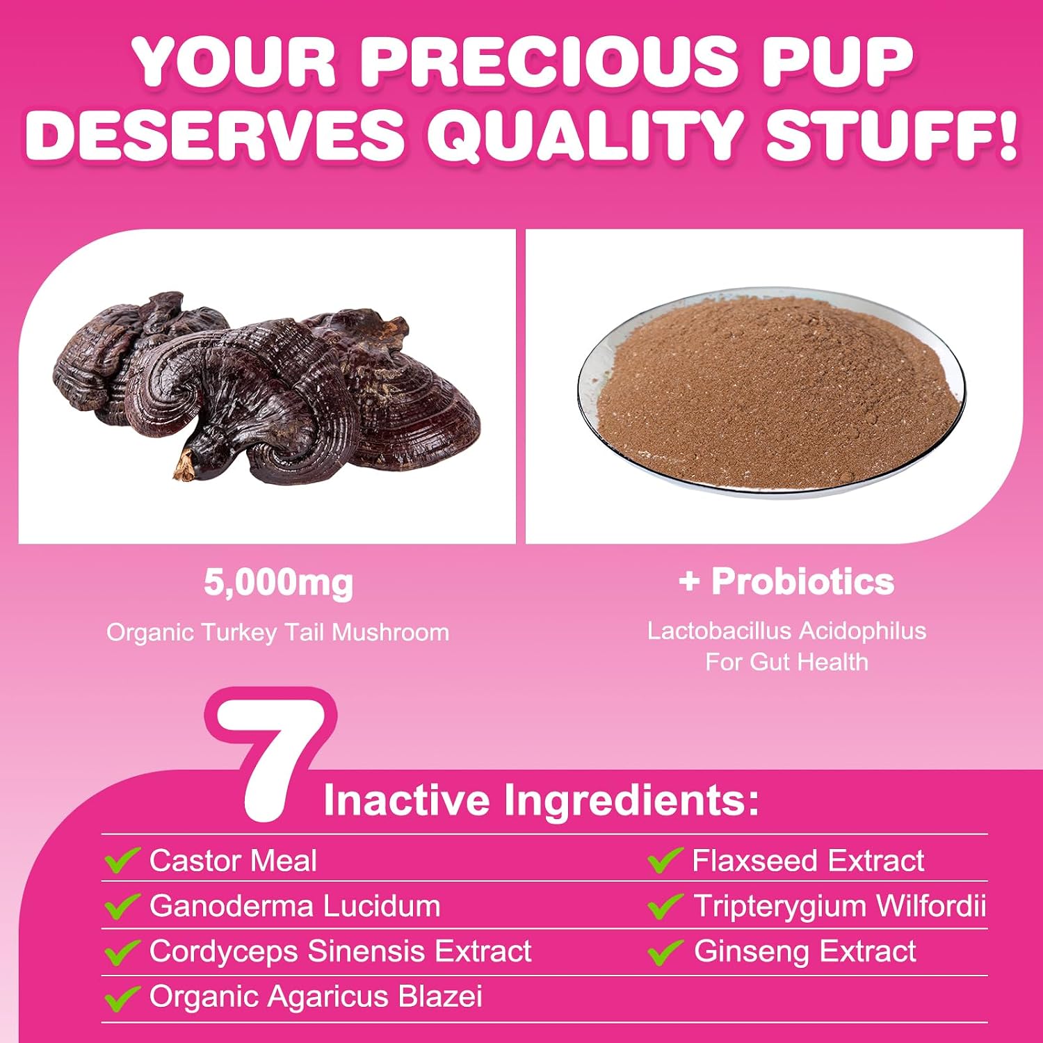 Polvo de Hongos para Perros – Mezcla de 8 Hongos con Cola de Pavo – Apoyo Inmunológico y Digestivo – Probiótico Natural – 130 g (Sabor a Hígado de Pollo)