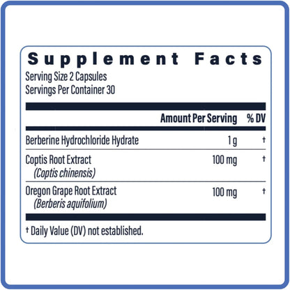 TriBerine Berberina 1000 mg Triple Fuente – Coptis chinensis : una planta clave en la medicina tradicional china, – Image 2