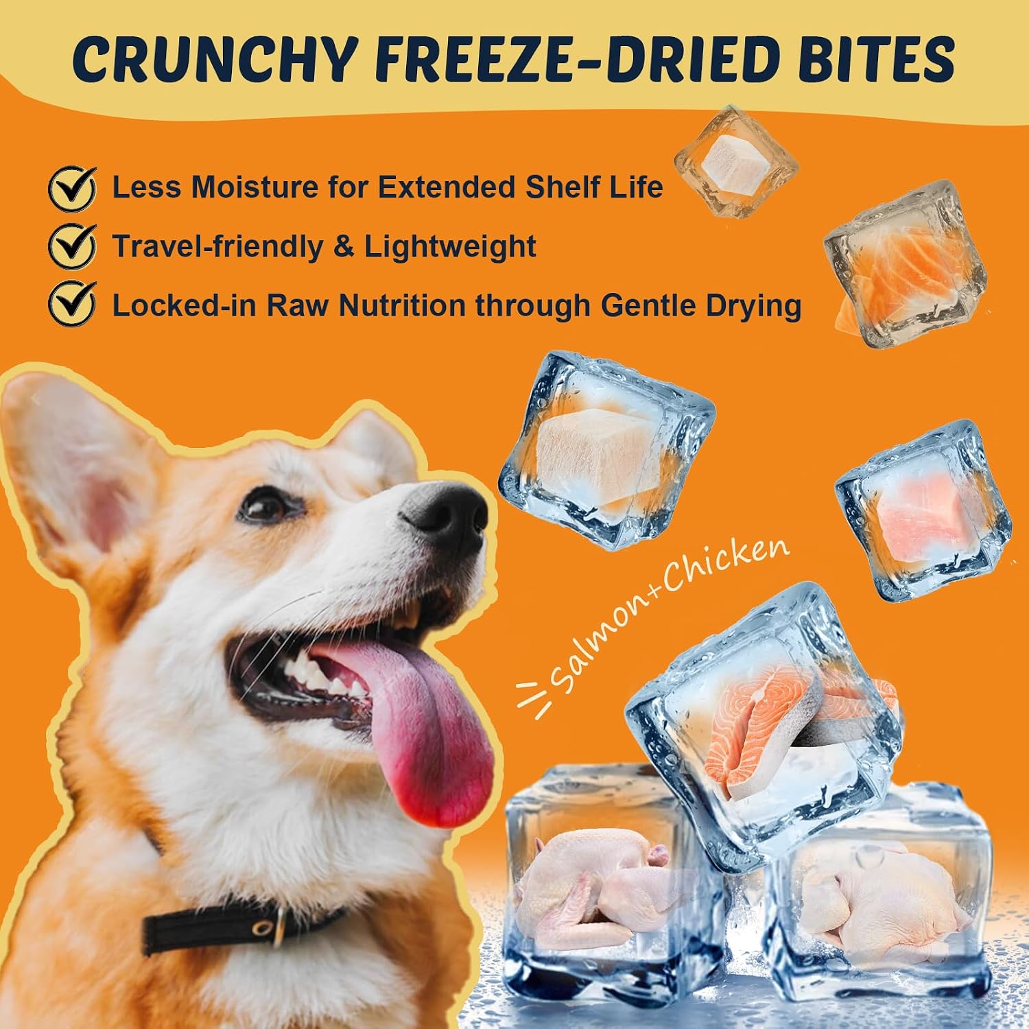 Aceite de pescado omega 3 para perros, aceite de salmón con EPA y DHA - 120 chews - DRFOSTER