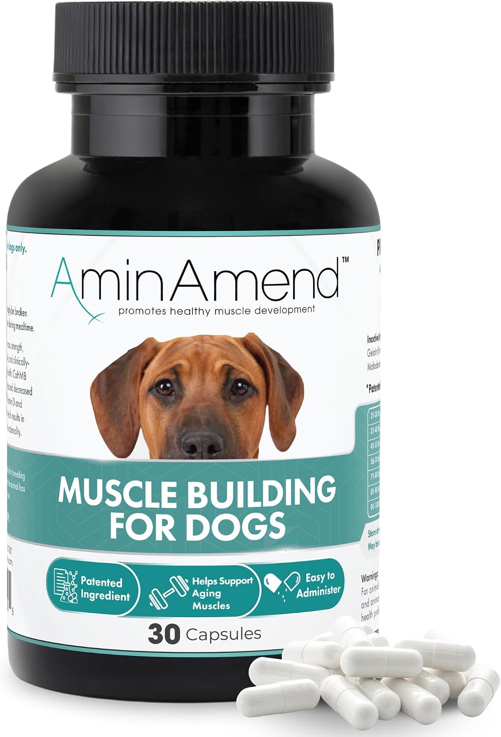 AminAmend Suplemento Muscular para Perros Grandes – CaHMB y Vitamina D3, 30 cápsulas