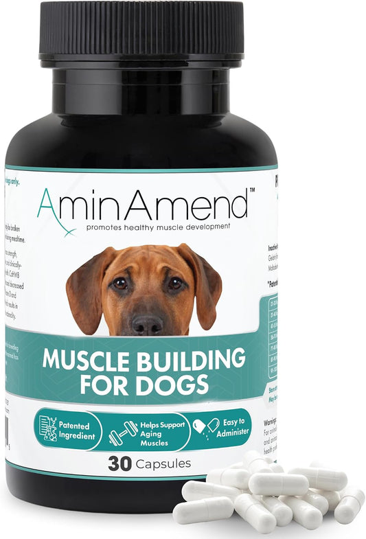 AminAmend Suplemento Muscular para Perros Grandes – CaHMB y Vitamina D3, 30 cápsulas