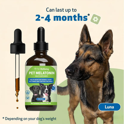 Pet Wellbeing Melatonina Líquida para Perros – Apoyo a patrones de sueño saludables en perros con horarios – Image 9