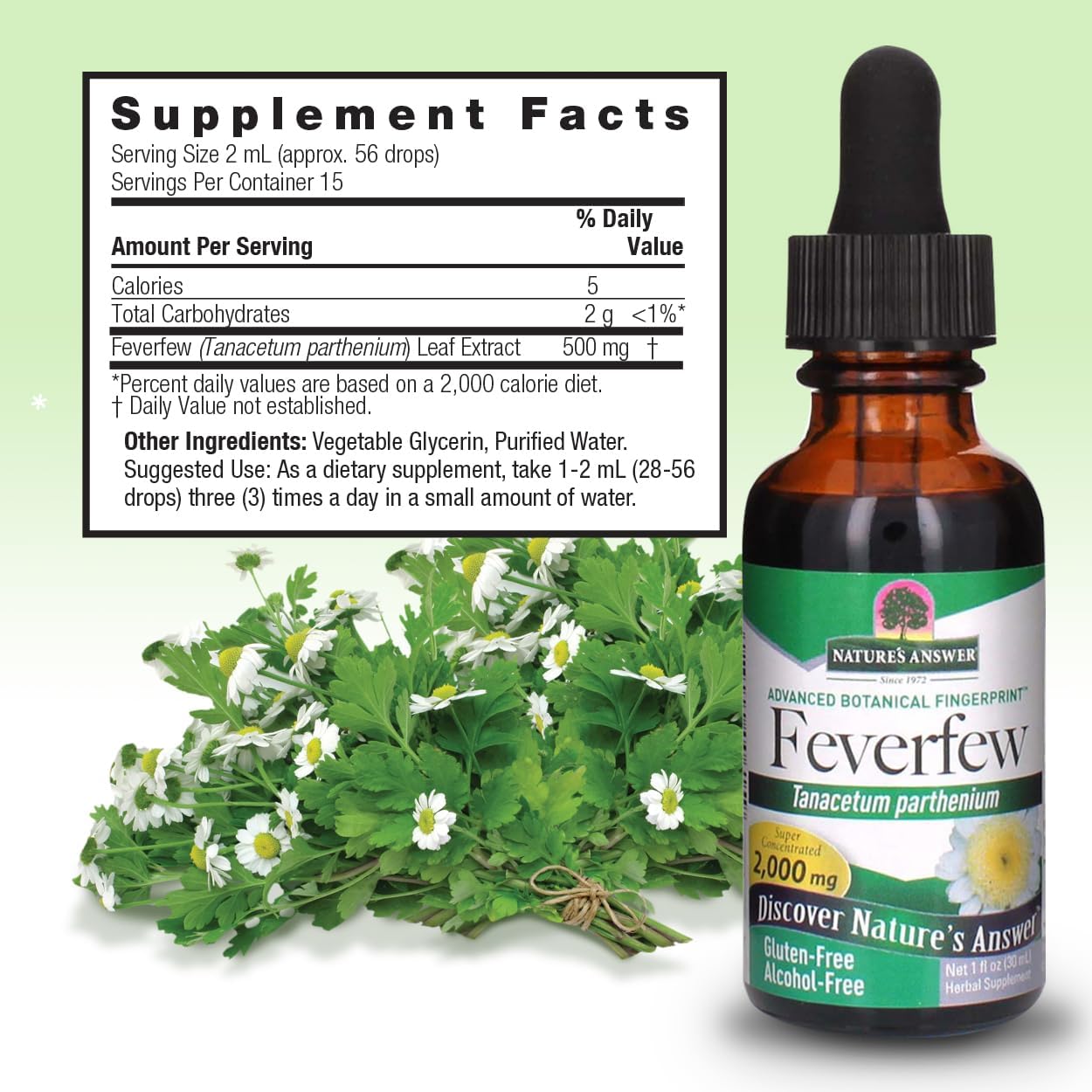 Nature's Answer Extracto de Matricaria Sin Alcohol 2000mg 30ml | Promueve el Bienestar General | Fuente de Partenólido | Sin Sabores ni Conservantes Artificiales