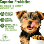 Pasta de Probióticos para Perros con Prebiótico, Apoyo Digestivo e Inmunitario, Natural con 1 Billón por ml, Incluye MOS, Beta Glucanos y D-Manosa, Sin Subproductos Animales - Tubo de 30 ml