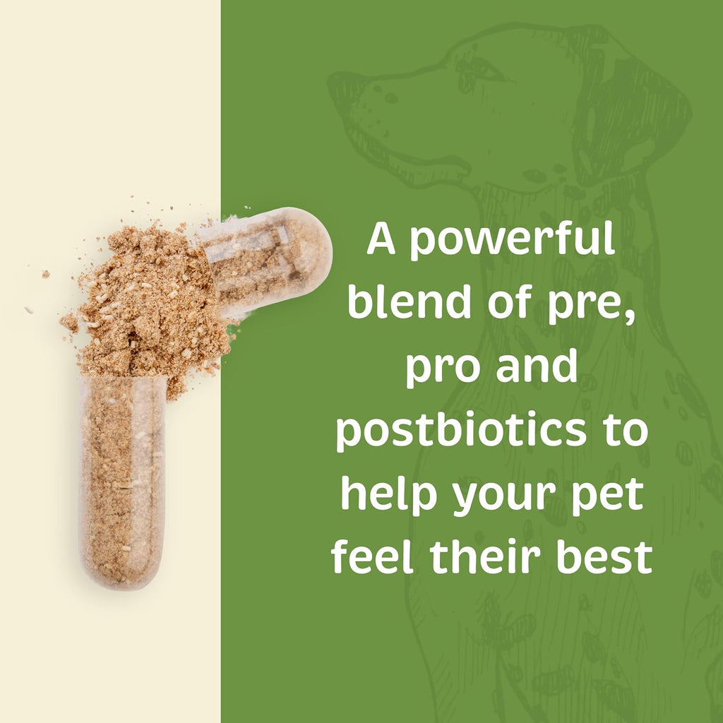 Spirited Paw Probiótico + Salud Intestinal - Apoyo Digestivo e Inmunológico para Perros y Gatos - Mezcla de Prebiótico, Probiótico y Postbiótico con Trigo Sarraceno Orgánico y Fibra de Raíz de Achicoria - 90 Cápsulas