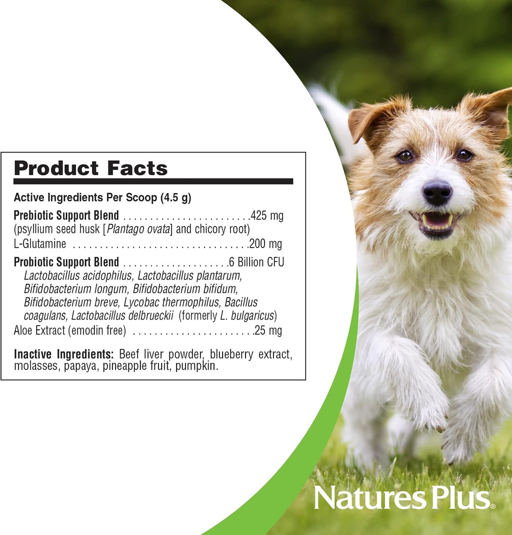 NaturesPlus FurBaby Probiótico para Perros - 269 g - Apoya la Salud Digestiva, Cardíaca, Hepática e Inmunológica - 60 Dosis