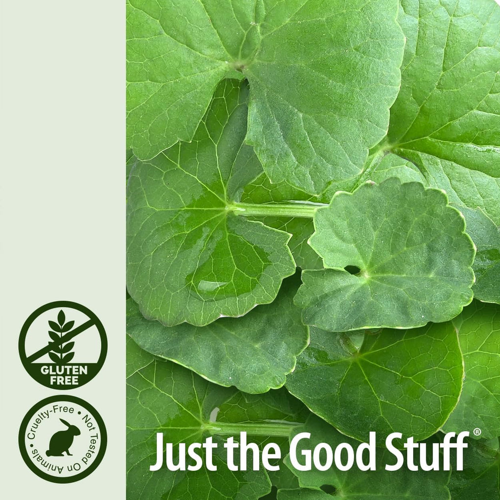 Nature's Answer Gotu-Kola Hierba 2 OZ