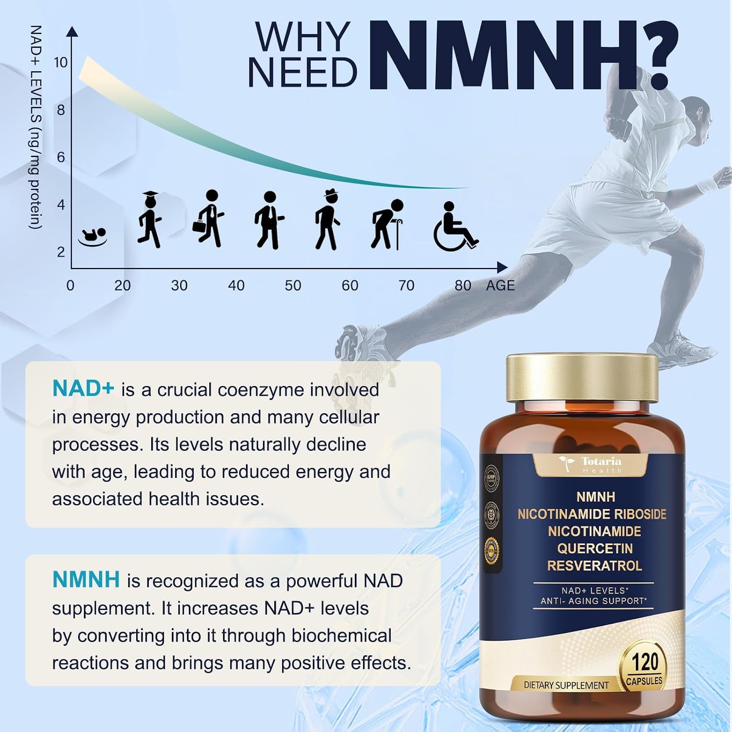 Totaria NMNH (Dihidronicotinamida Mononucleótido) con Niacinamida, Quercetina y Trans-Resveratrol – 240 Cápsulas