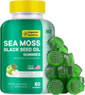 Sea Moss Gummis con Shilajit, Ashwagandha y Astaxantina - Rico en Minerales y Vitaminas - 60 Gominolas
