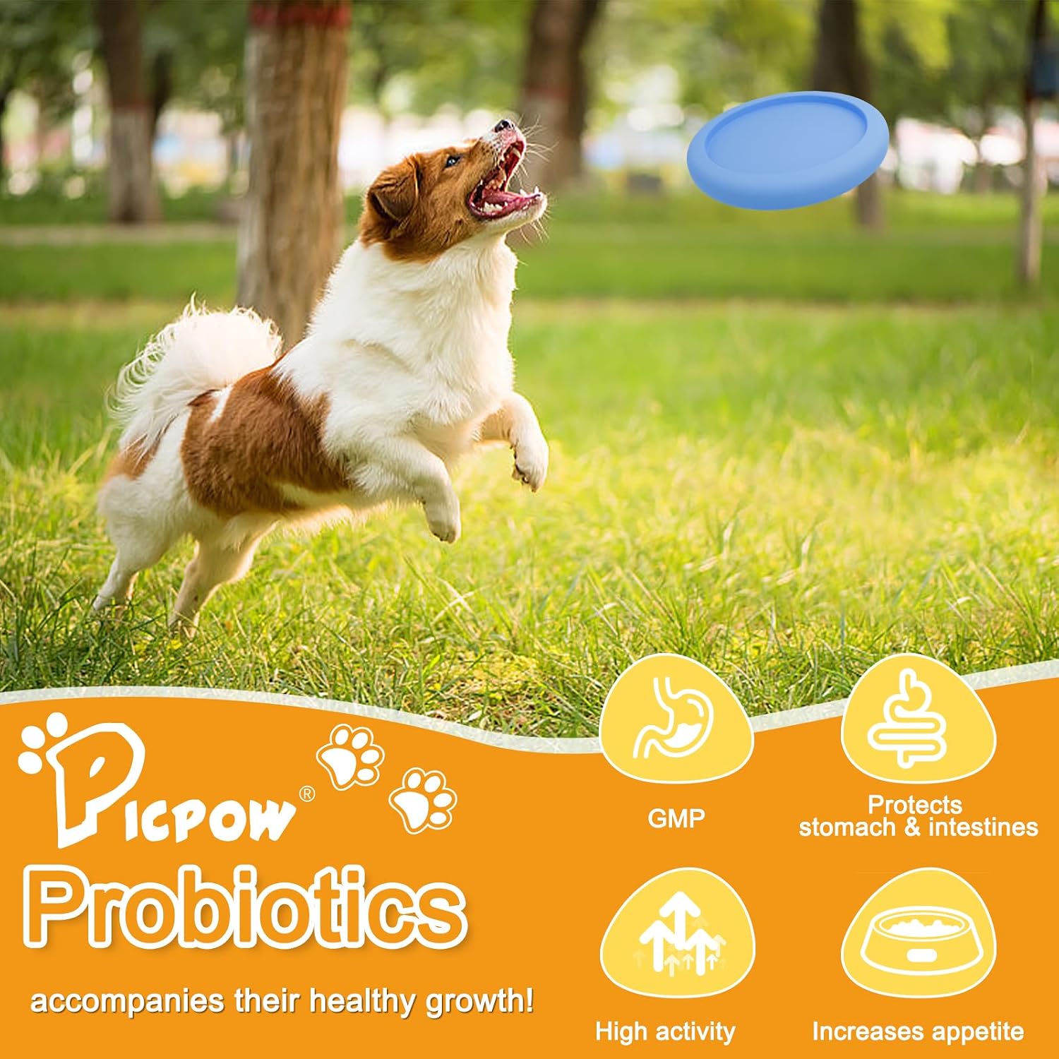 Probióticos para Perros y Gatos con Prebióticos y Enzimas Digestivas, 120 Masticables