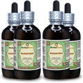 Shankhpushpi (Convolvulus Pluricaulis) Extracto Líquido Sin Alcohol - 4x118 ml