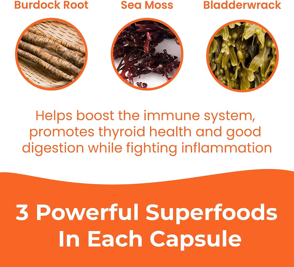 INFINITE AGE Sea Moss Advanced Superfood Cápsulas, 1250mg, 60 Unidades