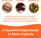 INFINITE AGE Sea Moss Advanced Superfood Cápsulas, 1250mg, 60 Unidades