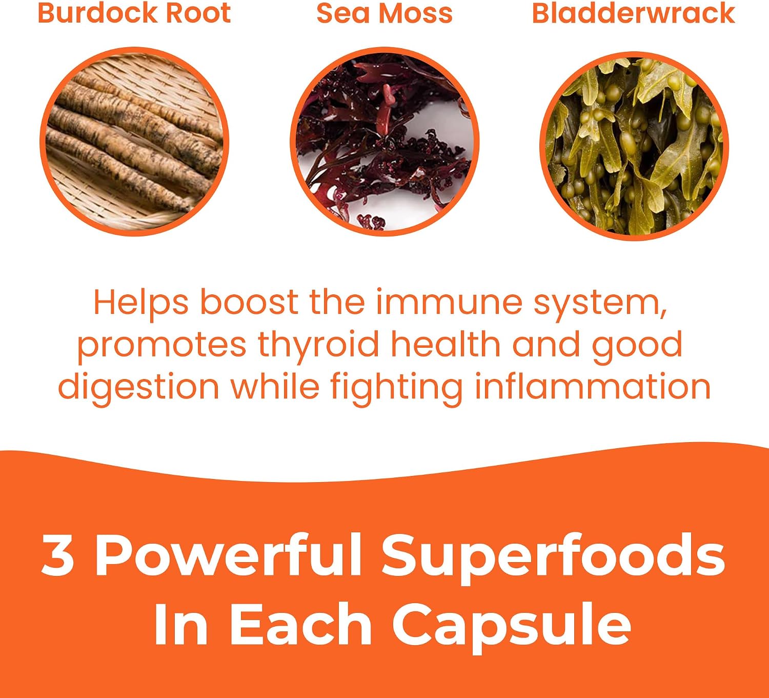 INFINITE AGE Sea Moss Advanced Superfood Cápsulas, 1250mg, 60 Unidades