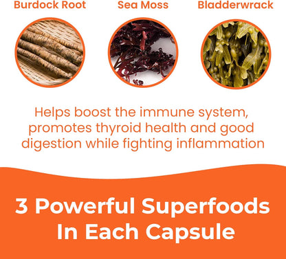 INFINITE AGE 3 Pack de 1250mg Sea Moss Advanced Superfood Cápsulas, 180 Unidades – Image 7