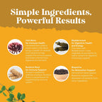Cápsulas de Irish Sea Moss de Natures Craft - Complejo de Superalimento con Bladderwrack, Bardana y BioPerine - 90 Cápsulas