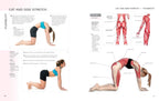 Anatomía del ejercicio para mujeres: una guía de entrenamiento para el ejercicio femenino