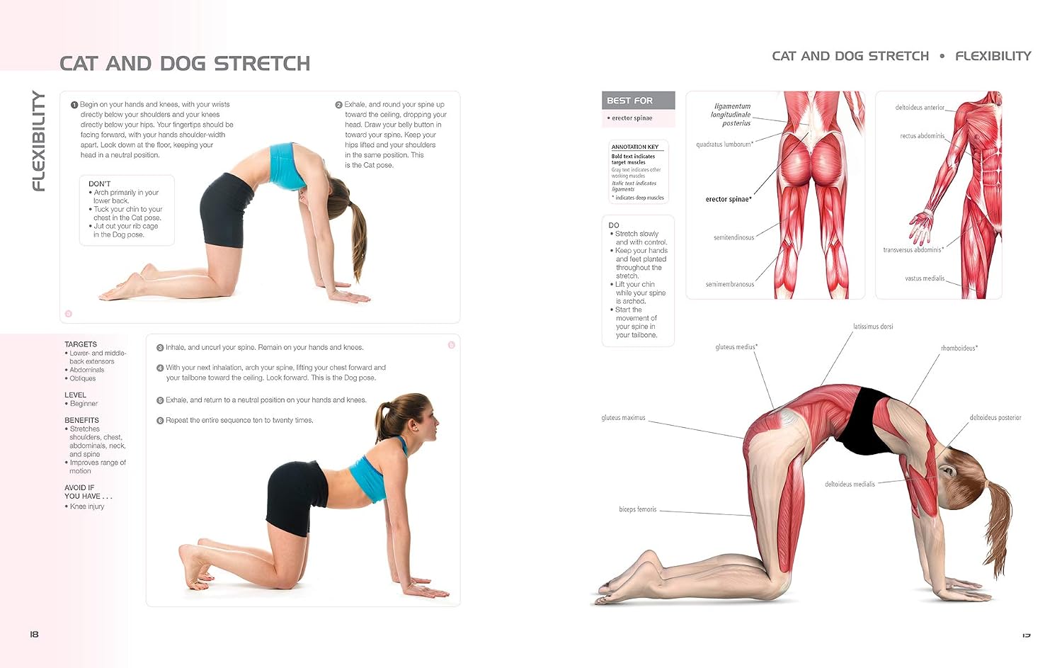 Anatomía del ejercicio para mujeres: una guía de entrenamiento para el ejercicio femenino