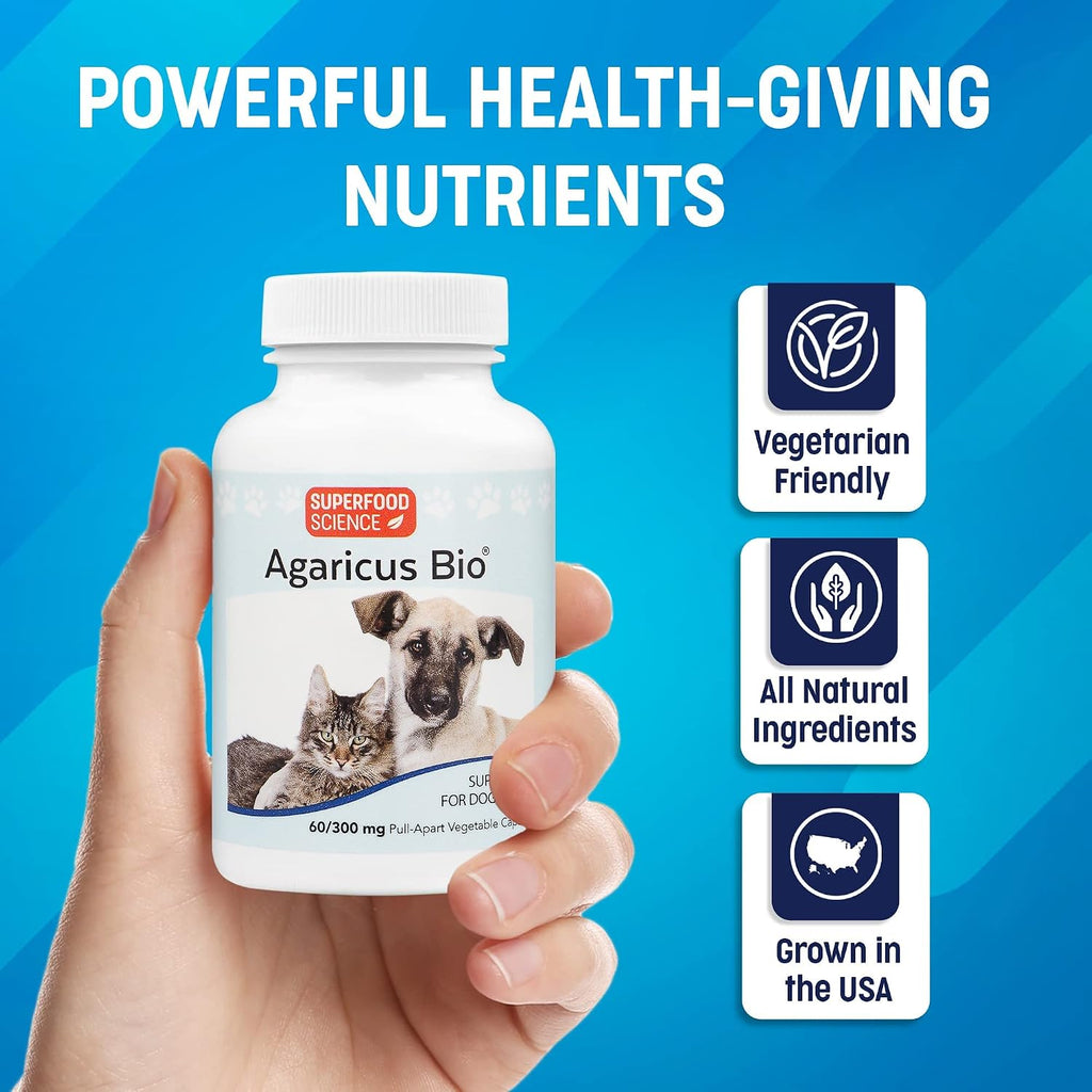 Agaricus Bio 300mg para Perros y Gatos - Suplemento de Hongos Beta Glucano - 60 Cápsulas