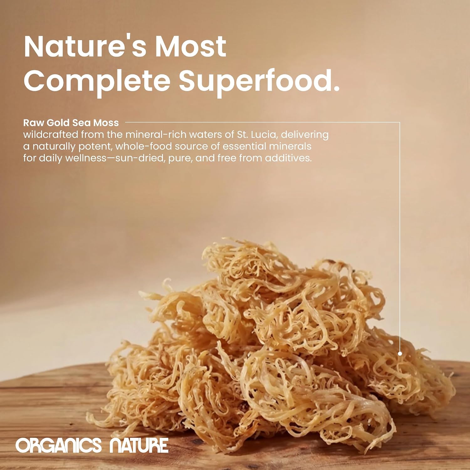 Organics Nature Raw Wildcrafted Sea Moss - Musgo Marino Salvaje Crudo 113g (4 oz)