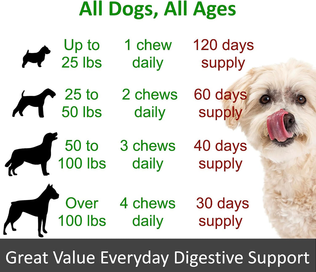 TummyWorks Probióticos para Perros - 120 Masticables Suaves para la Salud Digestiva, Intestinal, Inmunidad, Energía, Alergias, Piel y Pelaje - 10 Cepas, 5 mil millones de UFC con 6 Enzimas
