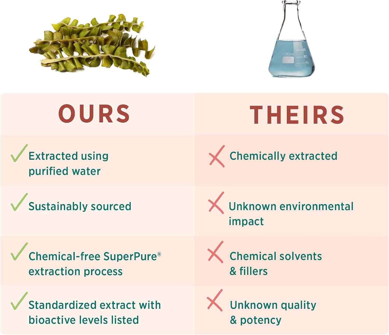 PURE SYNERGY SuperPure Fucoidan Extract - 60 Cápsulas - Fucoidan Puro de Alga Parda Orgánica