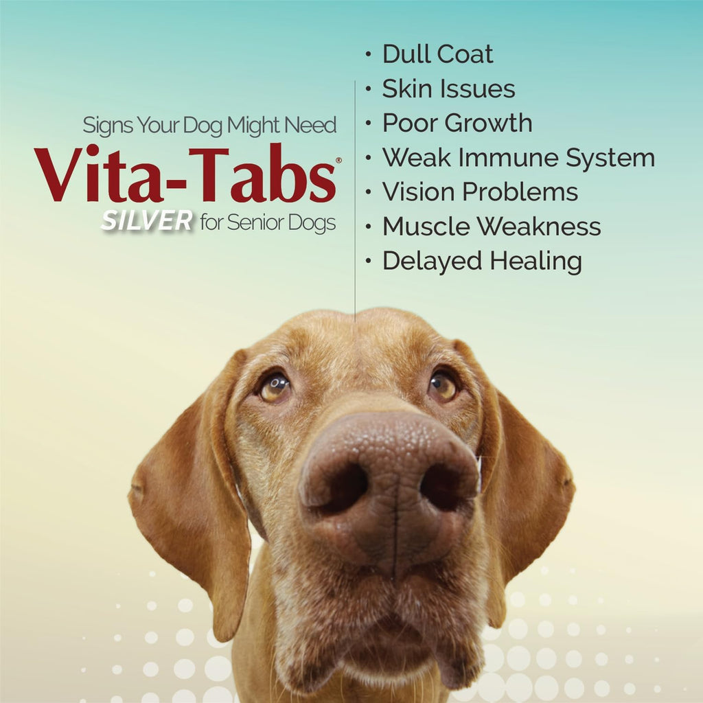 Silver - Multivitamin for Senior Dogs - 100 Chewable Tablets