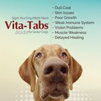 Silver - Multivitamin for Senior Dogs - 100 Chewable Tablets