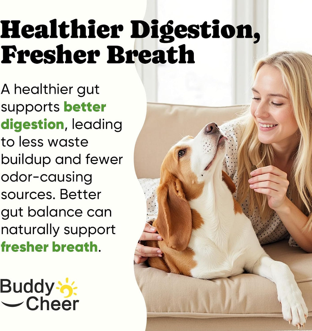 BuddyCheer Probióticos para Perros – 180 Masticables