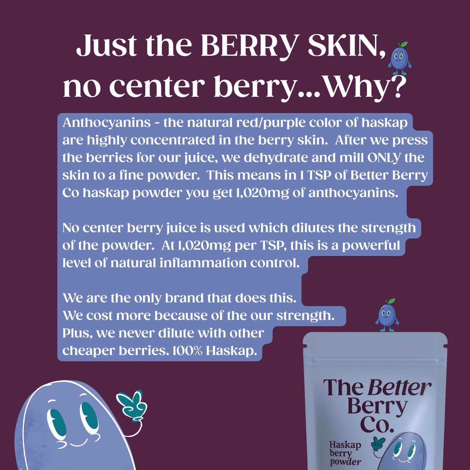 Polvo de Haskap Berry Puro - 30 Días de Suministro