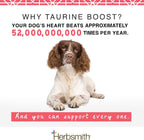 Herbsmith Taurine Boost - Suplemento de taurina para perros y gatos con CoQ10 y L-carnitina - 500 g