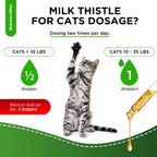 SalutemPet Cat Kidney Support - Cardo Mariano para Gatos - Suplemento Herbal para Riñones e Hígado - Sabor a Pollo - 2 oz