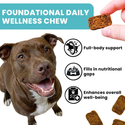 TRATEZ Multivitamínico para Perros 25-en-1 - – Piel y pelo: ingredientes que favorecen una piel sana y un pelaje – Image 2