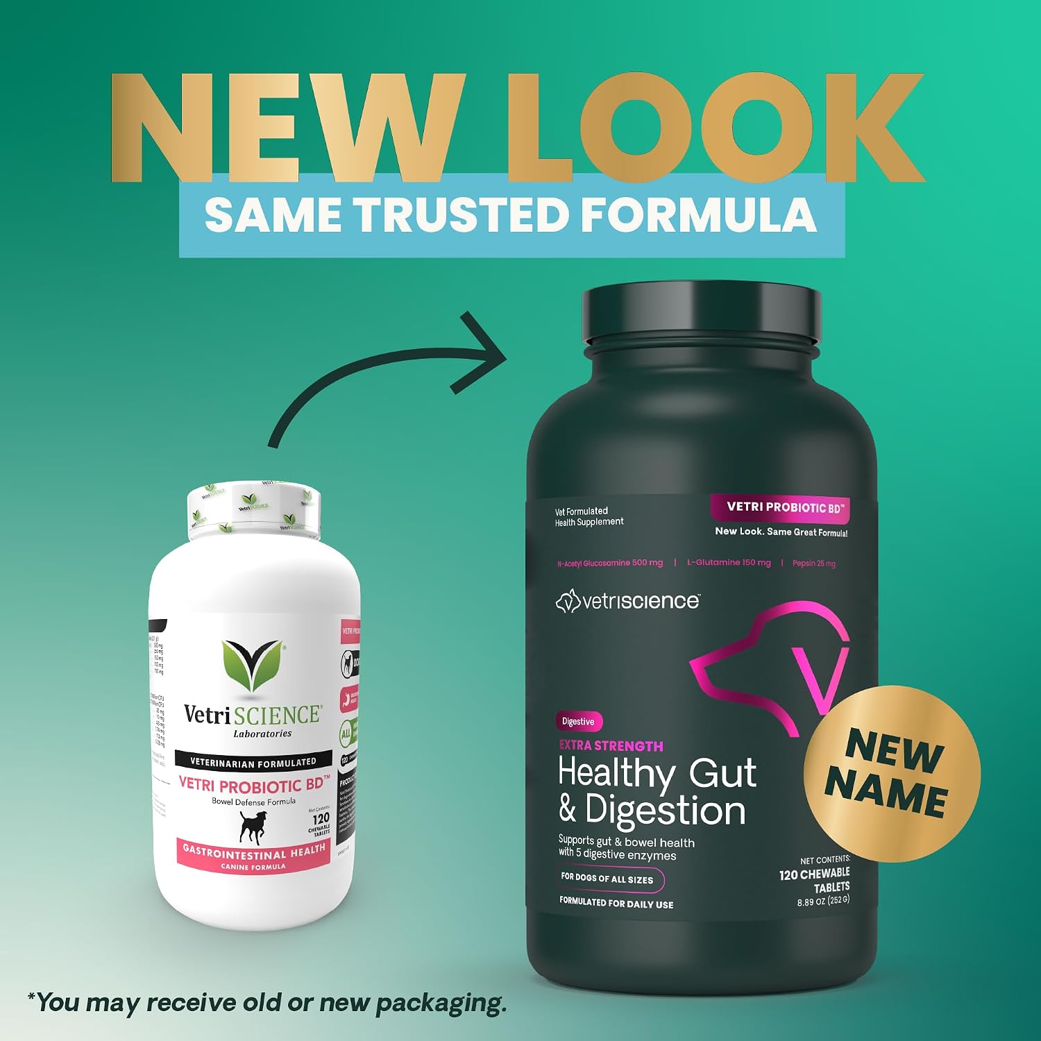 VetriScience Extra Strength Healthy Gut & Digestion - Complemento para perros con probióticos y enzimas digestivas, 120 comprimidos masticables sabor pollo