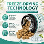 ZEBORA Probióticos para Perros y Gatos - 6 Mil Millones UFC con Enzimas Digestivas y Prebióticos - 120 Masticables