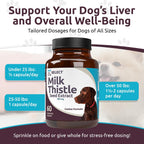 Milk Thistle for Dogs, 100mg - 60 Vegetable Capsules - Canine Liver Supplement