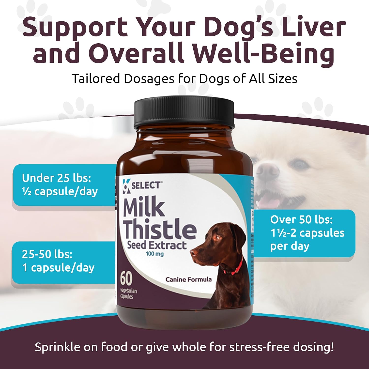 Milk Thistle for Dogs, 100mg - 60 Vegetable Capsules - Canine Liver Supplement