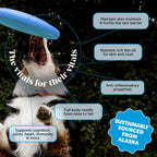 Aceite de Salmón Salvaje de Alaska para Perros y Gatos - Omega 3 EPA + DHA - Pet Honesty - 473 ml