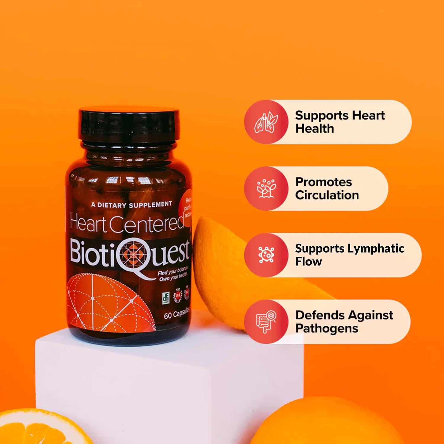 BiotiQuest Heart Centered Probiotics – 20 Billion CFU, 60 Cápsulas