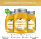 Gel de Musgo Marino con Ashwagandha y Sabor Mango - QANLOI 425g